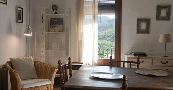 Allotjament Lo Molló. Vistes a les vinyes