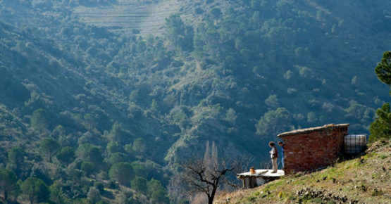 Cal Porrerà - Vinyes del Trosset